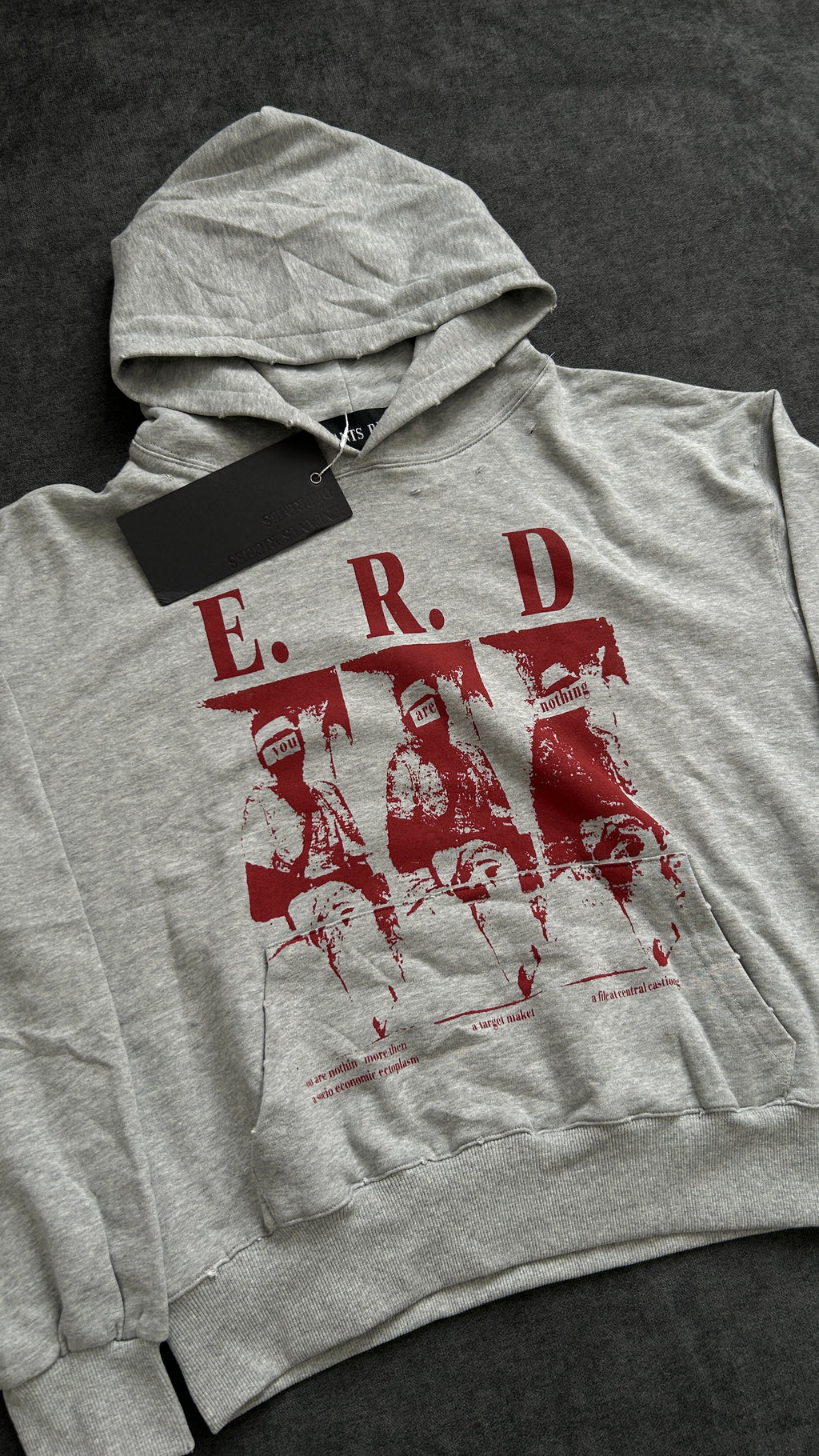 ERD Printed Hoddie