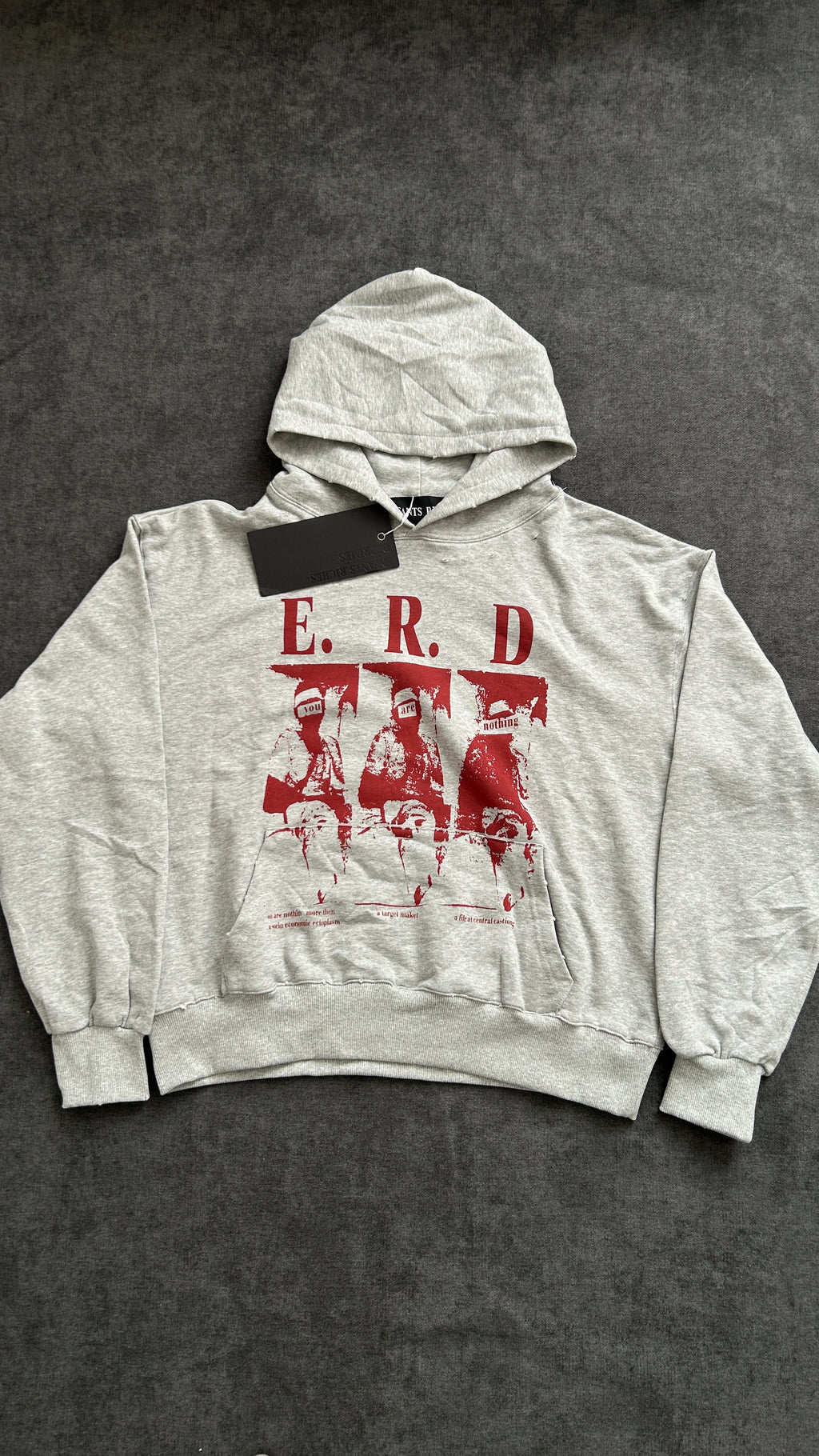 ERD Printed Hoddie