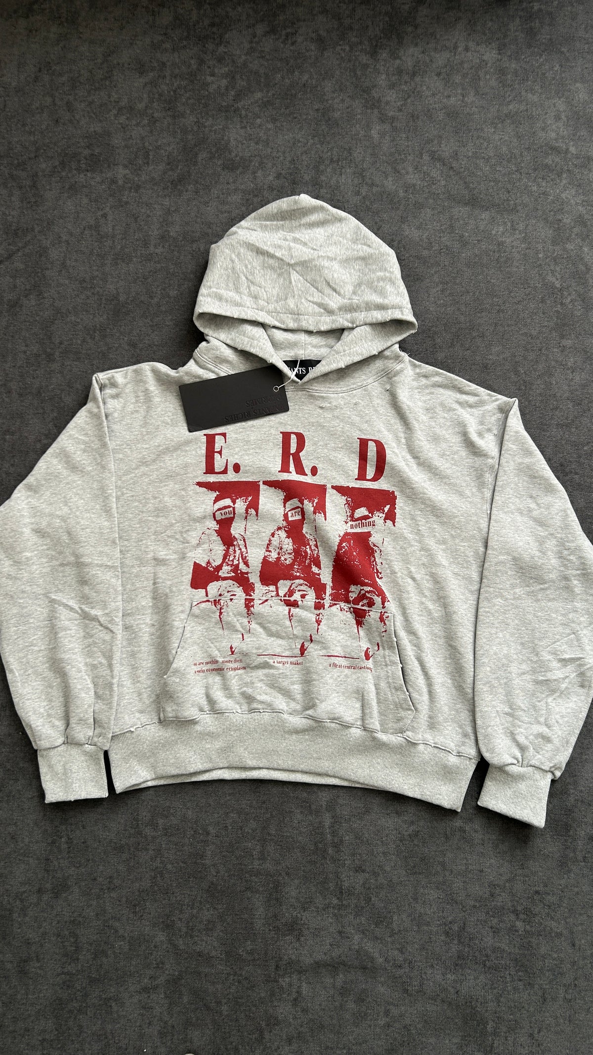 ERD Printed Hoddie