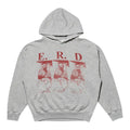 ERD Printed Hoddie